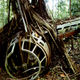 Image for article titled Real-Life Lost Relic Found Over and Over Again